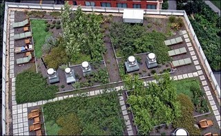 Green Roofs Combat Pollution